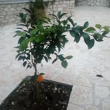 Athineon *